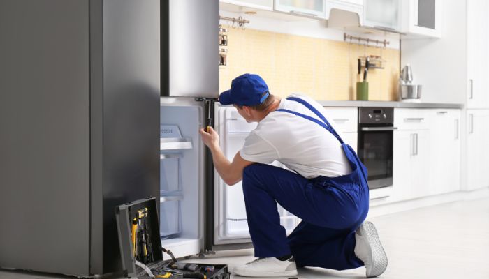 Revisión del refrigerador