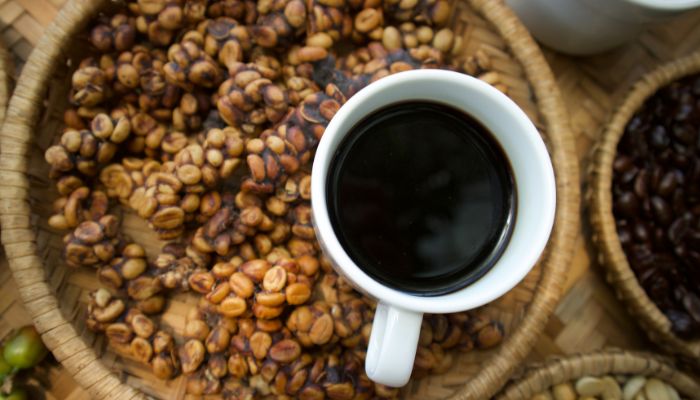 cafe de civeta