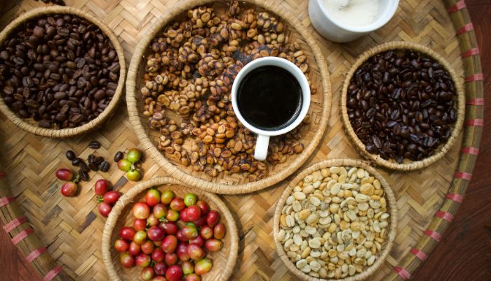 cafe de civeta